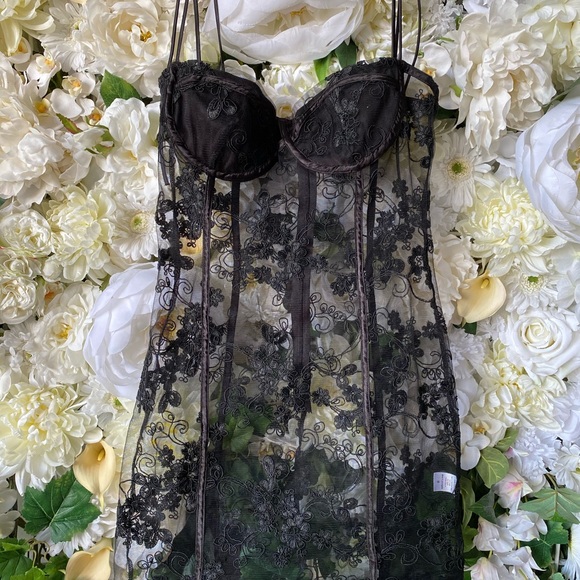 Sheer Black Floral Embroidered Bustier Mini Dress - Picture 2 of 7